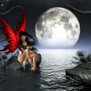 Meet your Posher, Judy